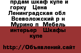 прдам шкаф-купе и горку › Цена ­ 4 000 - Ленинградская обл., Всеволожский р-н, Мурино п. Мебель, интерьер » Шкафы, купе   